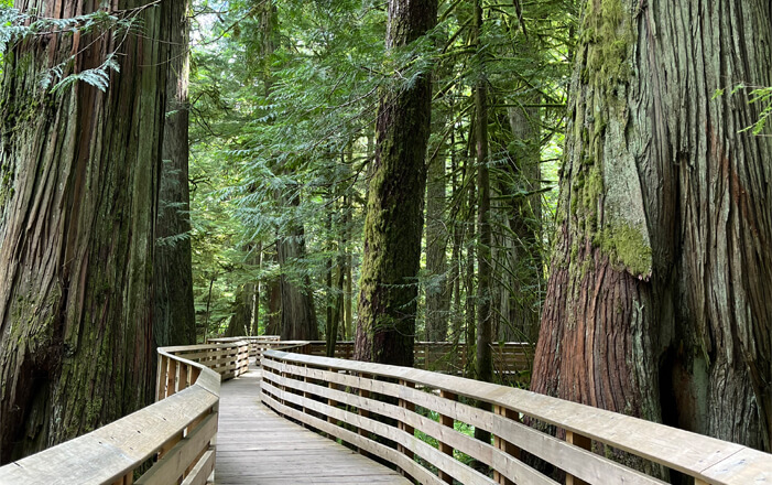 Tofino road trip