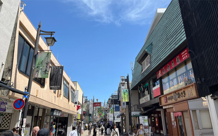 day tour from Tokyo to Kamakura