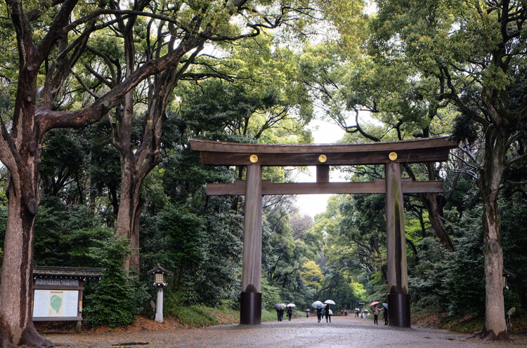 what to do in Tokyo in the morning