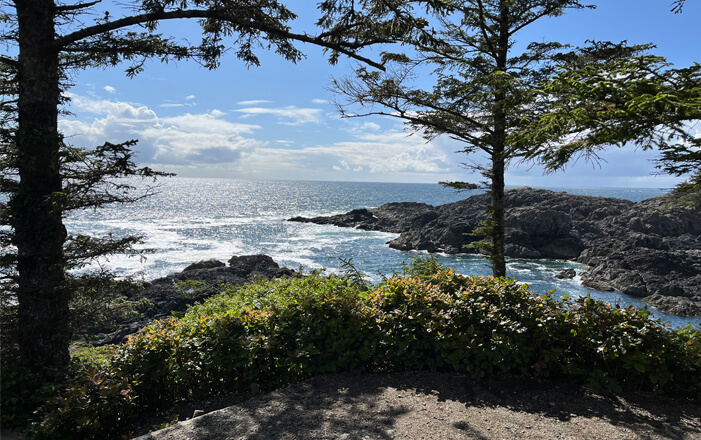 Ucluelet hotels